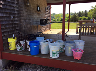 2018 Beach Cleanup rain or shine